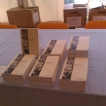 "Un été de trop" d'Isabelle Aeschlimann.