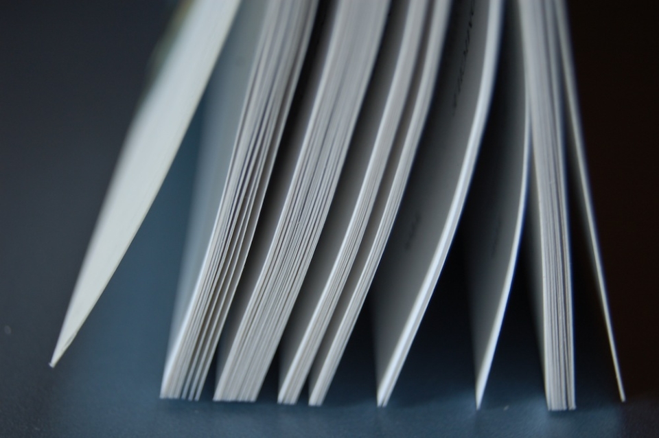 L'agenda de Plaisir de Lire. [DP]