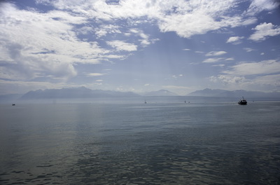 Le Livre sur les quais 2014. [Michel Pellaton]