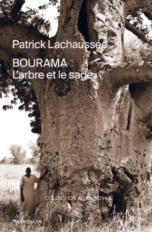 Bourama l'arbre et le sage