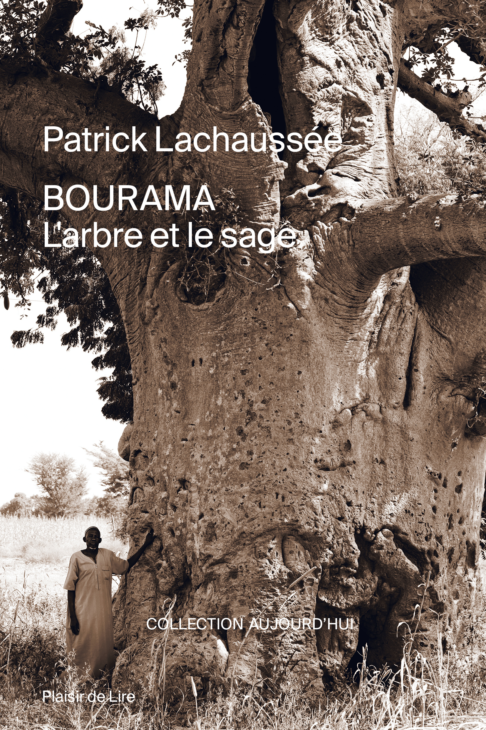Bourama l'arbre et le sage